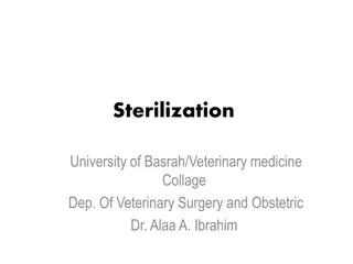 Guidelines on Sterilization, Disinfection, and Types of Disinfectants in Veterinary Medicine