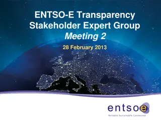 ENTSO-E Transparency Stakeholder Expert Group Meeting - February 2013