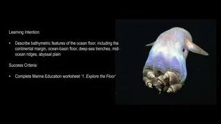 Bathymetric Features of the Ocean Floor