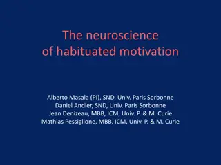 The Neuroscience of Habituated Motivation in Virtue Cultivation