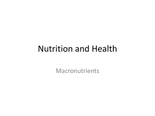 Understanding Macronutrients: Carbohydrates, Sugar, Proteins, Fats