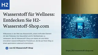 H2-Wasserstoff-Shop.pdf