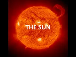 The Sun: A Closer Look at Our Star