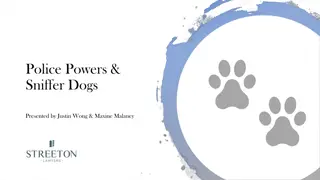 Police Powers & Sniffer Dogs: Legislative Basis and Procedures