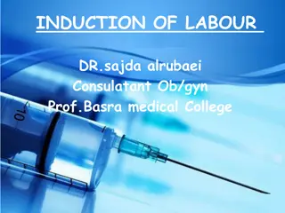 Overview of Induction of Labour for Obstetric Practice