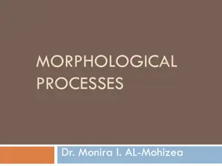 Morphological Processes in Linguistics