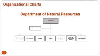 Organizational Charts - Department of Natural Resources Structure