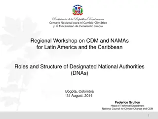 Organizational Structure of National Council for Climate Change and Clean Development Mechanism in the Dominican Republic