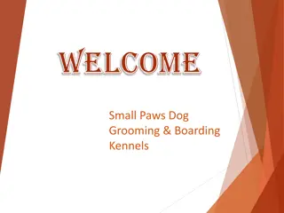 If you are looking for Dog Teeth Cleaning in Navan