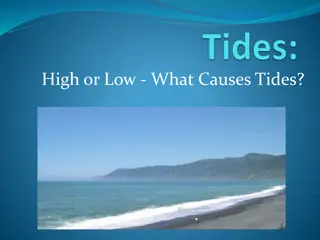 The Causes of Tides and Their Effects on Earth