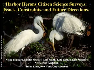 Challenges and Solutions in Harbor Herons Citizen Science Surveys