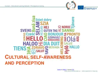 Intercultural Learning Network Pre-departure Training Overview