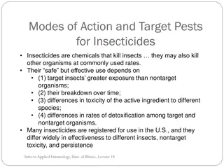 Overview of Insecticides: Modes of Action, Target Pests, and Types