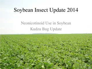 Neonicotinoids in Field Crops: Update on Soybean Insect Control