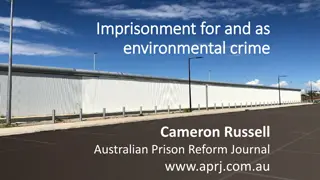 Imprisonment for Environmental Crimes: Impact and Controversy in the Justice System