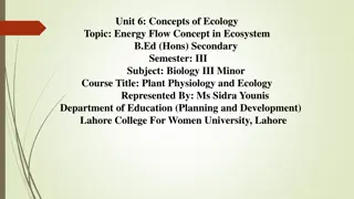 Energy Flow in Ecosystems