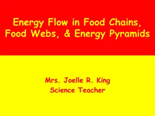 Energy Flow in Ecosystems