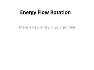 Energy Flow in Food Webs