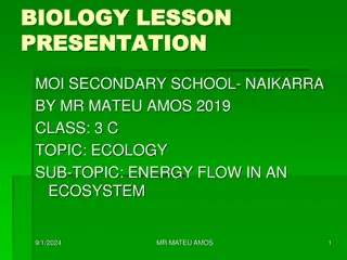 Understanding Energy Flow in Ecosystems: A Comprehensive Overview