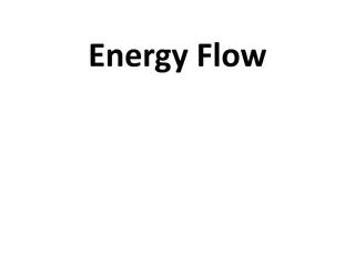 Energy Flow in Ecosystems: A Visual Guide