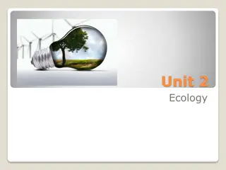 Energy Flow in Ecology