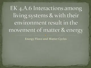 Energy Flows and Matter Cycles in Living Systems