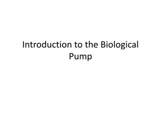 Understanding the Biological Pump and Carbon Cycle in the Ocean