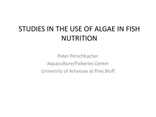 Studies in the Use of Algae in Fish Nutrition by Dr. Peter Perschbacher