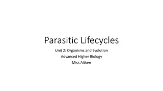 Parasitic Lifecycles and Evolution in Biology