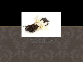 Discover the Fascinating World of Vanilla