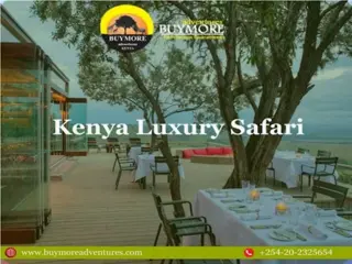 Kenya Lodge Safaris: A Perfect Blend of Comfort and Adventure