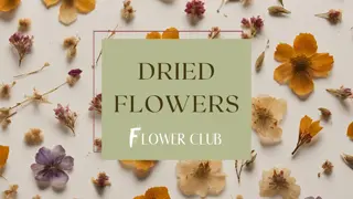 Dried Flowers