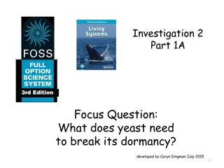 Investigating Yeast Activation: What Does Yeast Need to Break Dormancy?