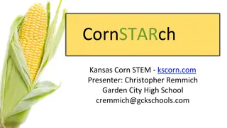 Exploring the Mysteries of Cornstarch and Water Mixtures