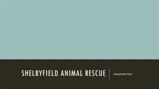 Shelbyfield Animal Rescue - Adoptable Pets and Benefits of Pet Ownership