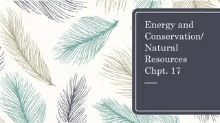 Understanding Natural Resources and Energy Conservation