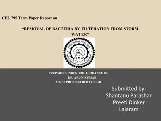 Maximizing Bacteria Removal from Storm Water through Filteration Research