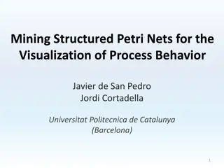 Visualization of Process Behavior Using Structured Petri Nets