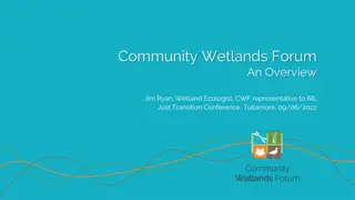 Community Wetlands Forum Overview by Jim Ryan, Wetland Ecologist