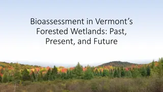 Bioassessment in Vermont's Forested Wetlands: Monitoring and Conservation Efforts