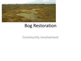 Empowering Communities for Wetlands and Bog Restoration Through Community Involvement