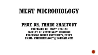 Meat Microbiology: Challenges and Growth Phases