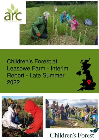 Children's Forest at Leasowe Farm - Interim Report Late Summer 2022