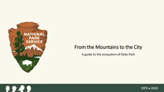 Discover the Ecosystem of Debs Park: From the Mountains to the City