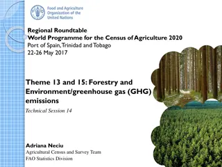 Importance of Forestry in Agricultural Census - Regional Roundtable World Programme