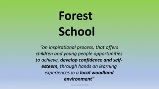 Exploring Forest School: A Journey of Learning and Development