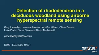 Detection of Rhododendron in Deciduous Woodland Using Airborne Hyperspectral Remote Sensing