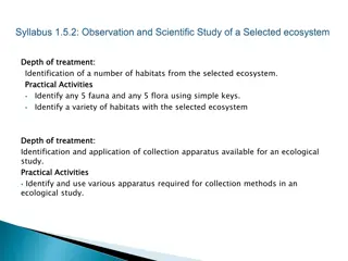 Ecosystems and Habitat Identification Through Practical Activities