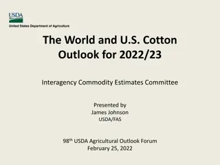 Global Cotton Outlook 2022/23: Consumption Recovery, Production Growth, and Price Trends