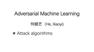 Adversarial Machine Learning Attacks